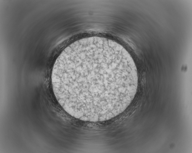 X0000096691015200802261535