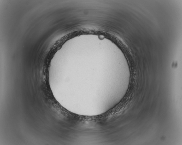 X0000096691016200802261535