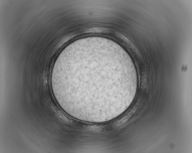 X0000096691017200802261535