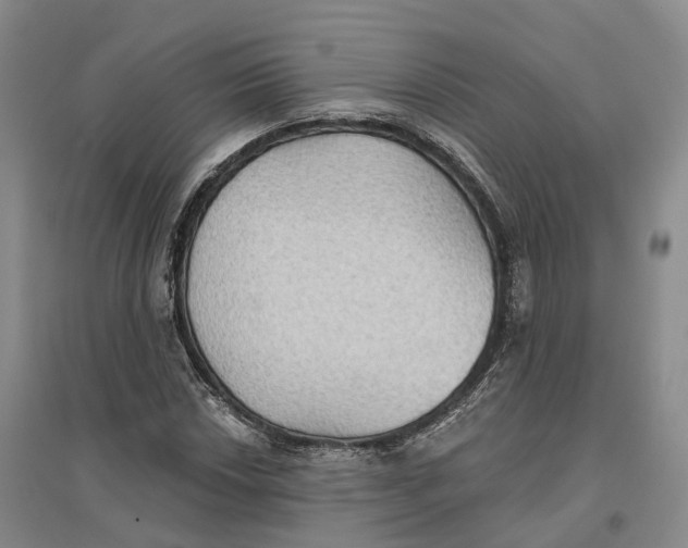 X0000096691018200802261535