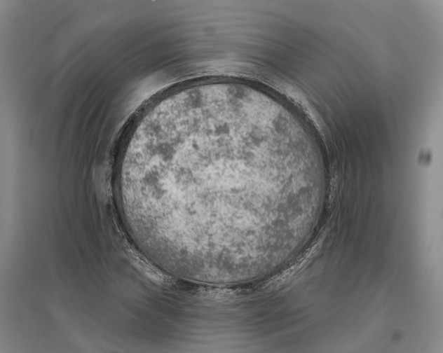 X0000096691019200802261535