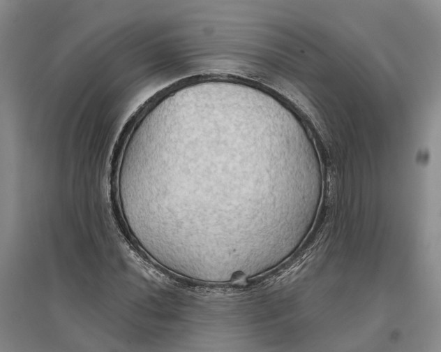 X0000096691020200802261535