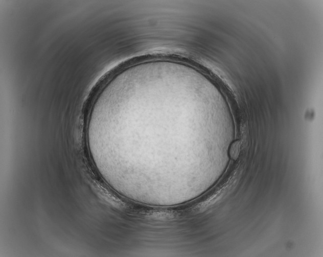 X0000096691021200802261535