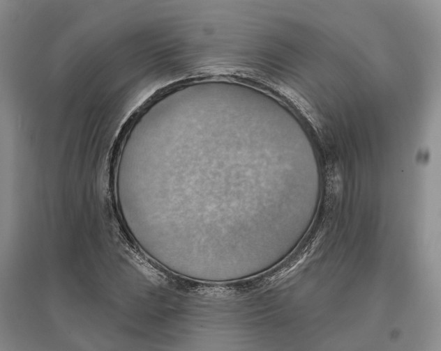 X0000096691023200802261535