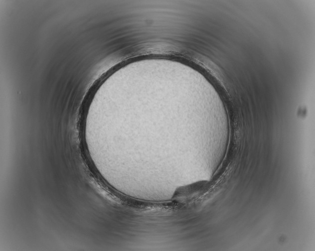 X0000096691026200802261535