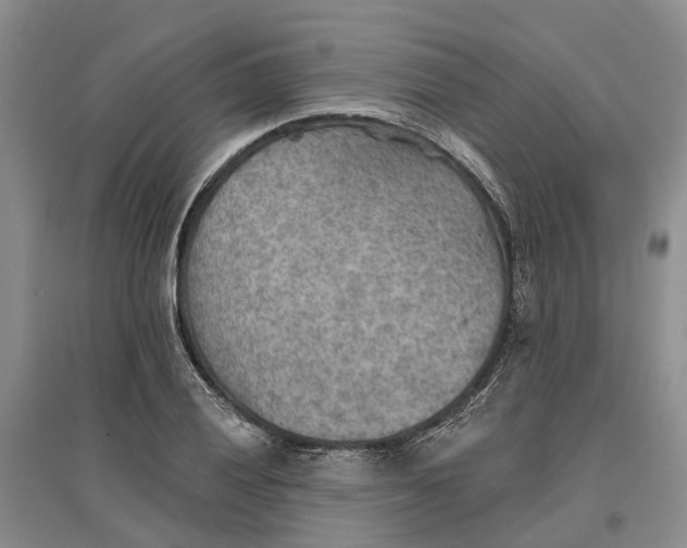 X0000096691028200802261535