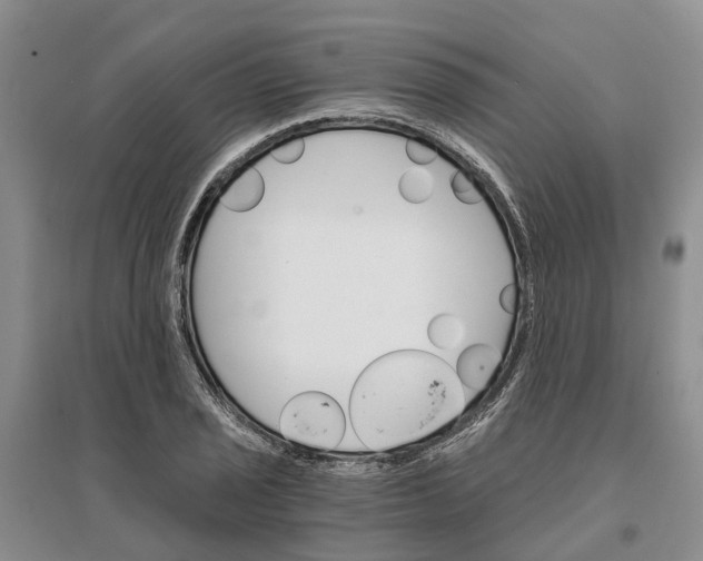 X0000096691029200802261535