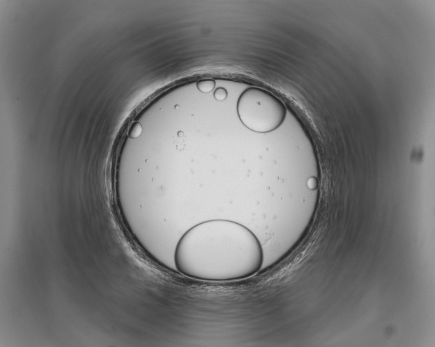 X0000096691030200802261535