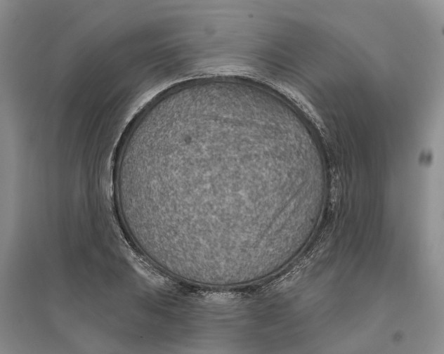 X0000096691031200802261535