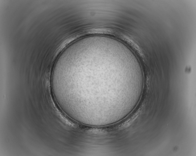 X0000096691033200802261535