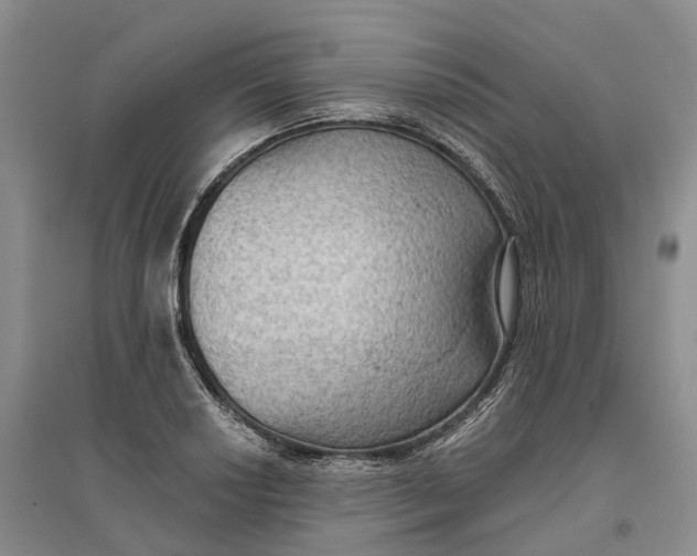 X0000096691034200802261535