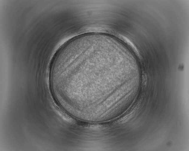 X0000096691035200802261535