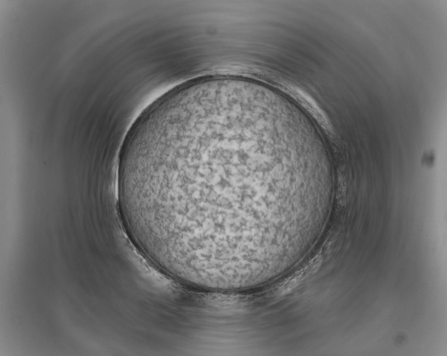 X0000096691036200802261535