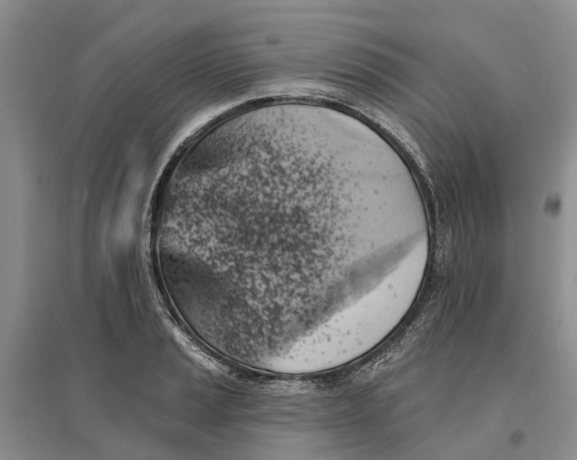 X0000096691037200802261535