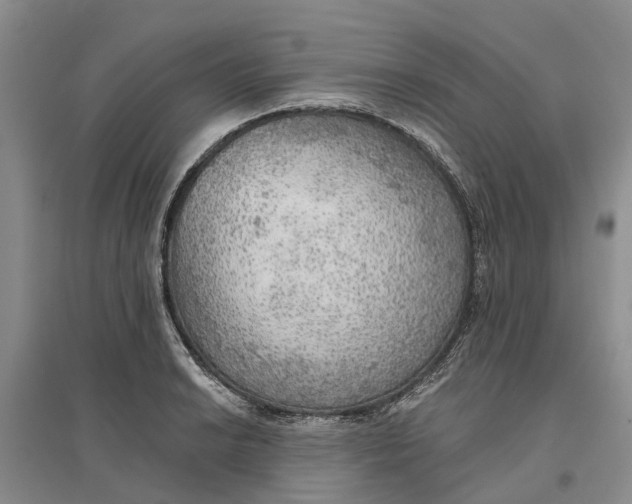 X0000096691038200802261535