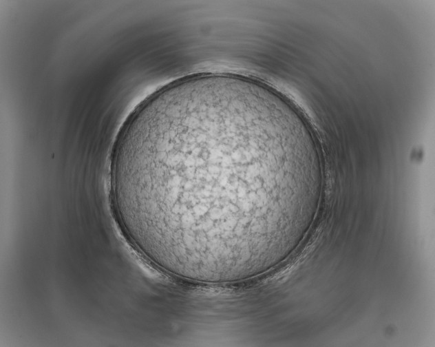 X0000096691040200802261535