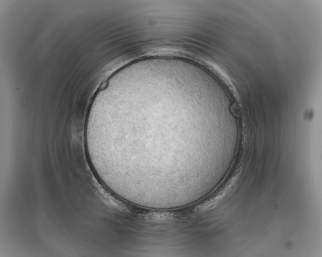 X0000096691041200802261535