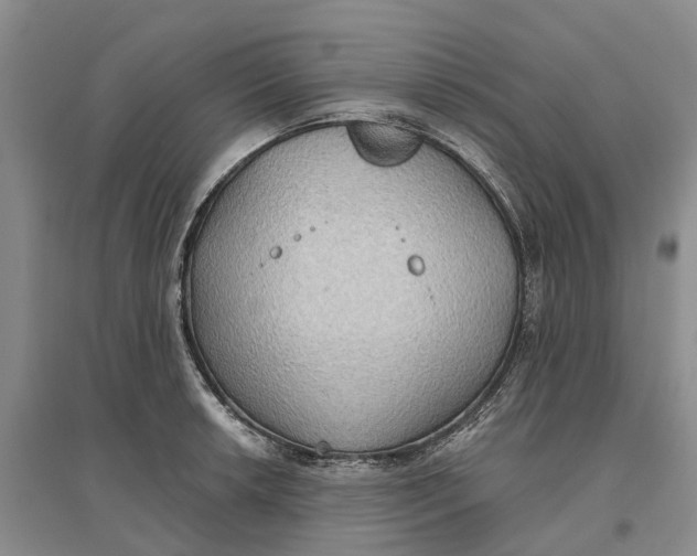 X0000096691042200802261535