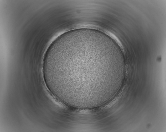 X0000096691043200802261535