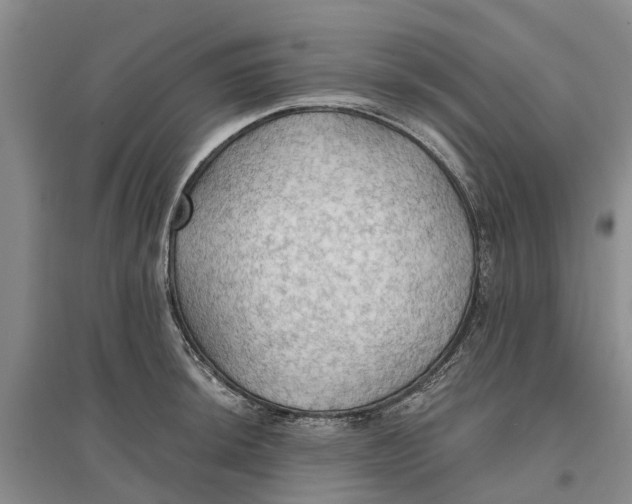 X0000096691044200802261535