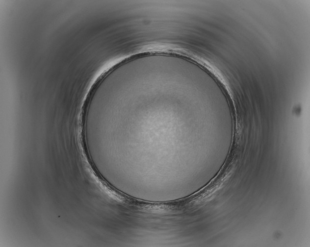 X0000096691045200802261535