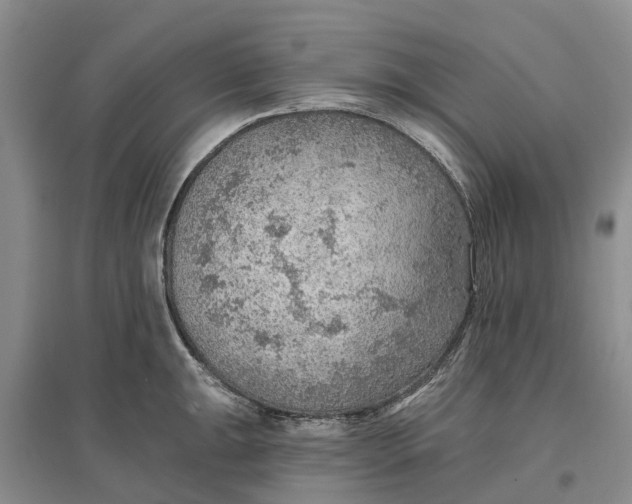 X0000096691047200802261535