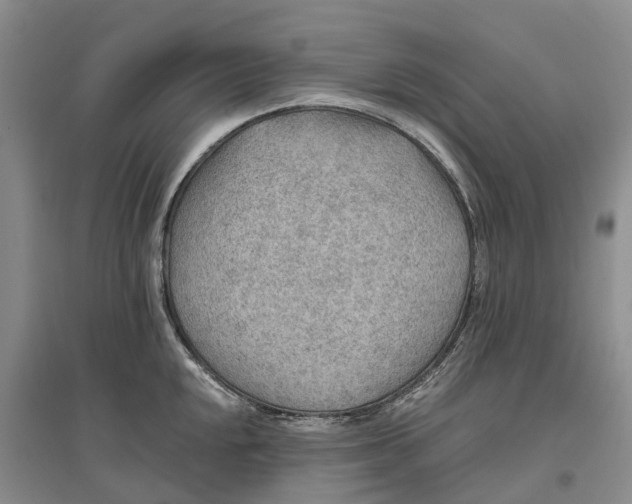 X0000096691048200802261535