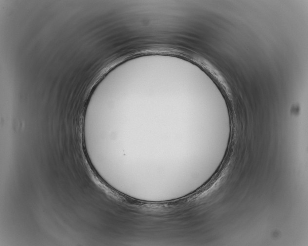 X0000096691049200802261535