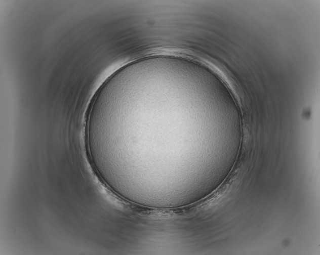 X0000096691050200802261535