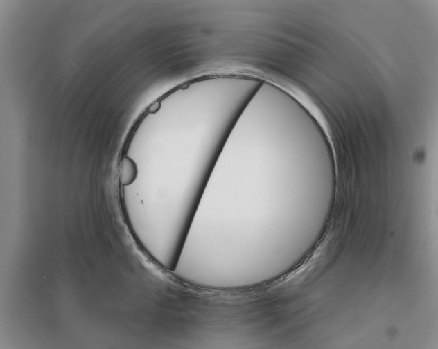 X0000096691053200802261535