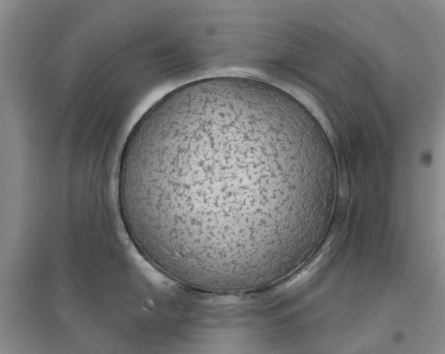 X0000096691054200802261535