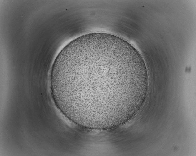 X0000096691056200802261535