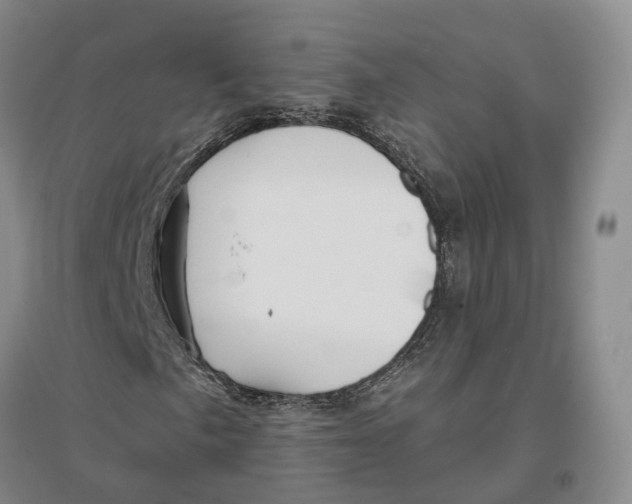 X0000096691057200802261535