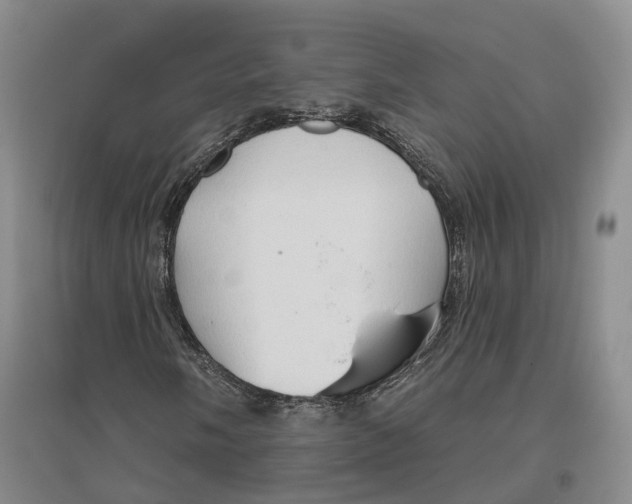 X0000096691058200802261535