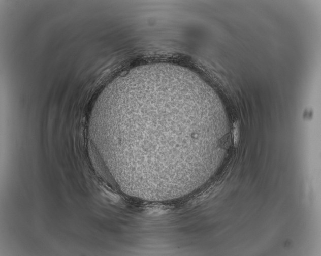 X0000096691059200802261535