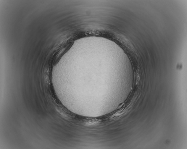 X0000096691060200802261535