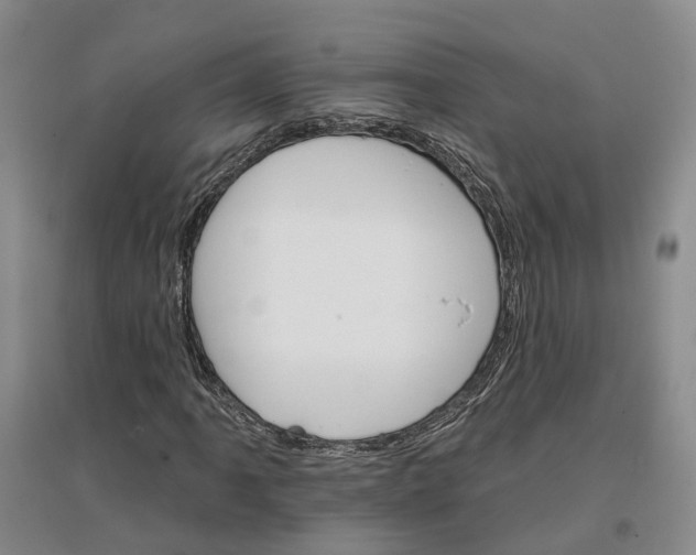 X0000096691061200802261535