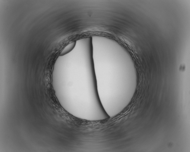 X0000096691062200802261535