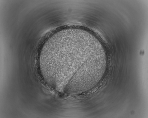 X0000096691063200802261535