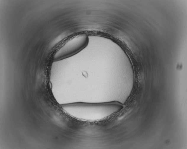 X0000096691064200802261535