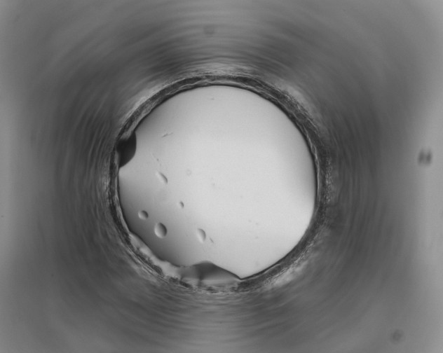 X0000096691065200802261535