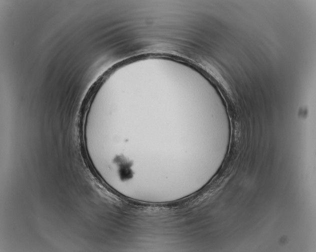 X0000096691068200802261535