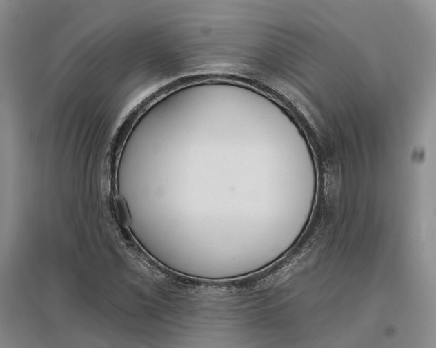 X0000096691069200802261535