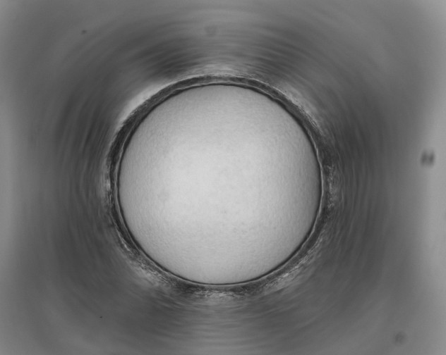 X0000096691070200802261534