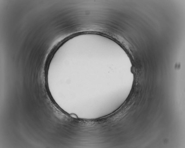 X0000096691072200802261534