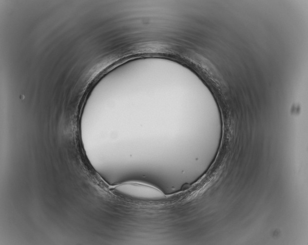 X0000096691073200802261534