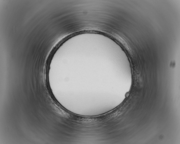 X0000096691076200802261534