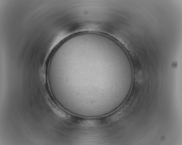 X0000096691078200802261534