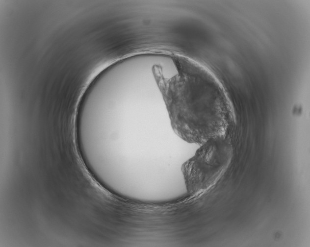 X0000096691079200802261534