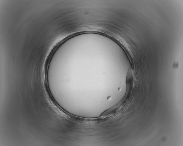 X0000096691080200802261534